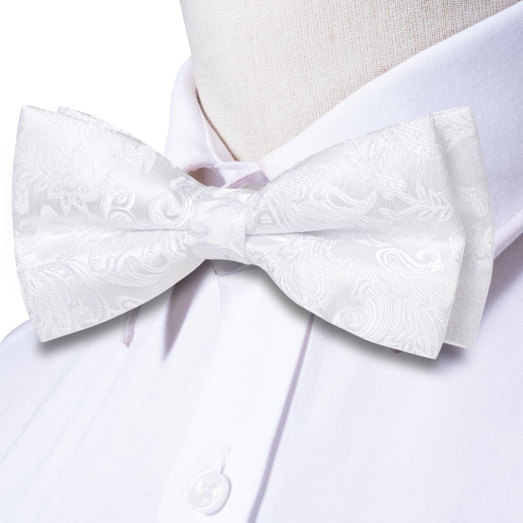 Ensemble nœud papillon pré-nou - Bow Tie Pre Tied avis et prix